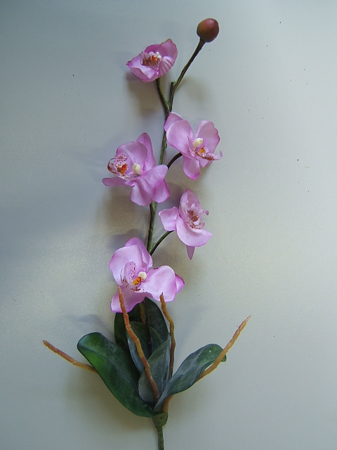 Orchidee mit 5 Blüten, 1 Knospe, 5 Blättern und Luftwurzeln Farbe:lavendel