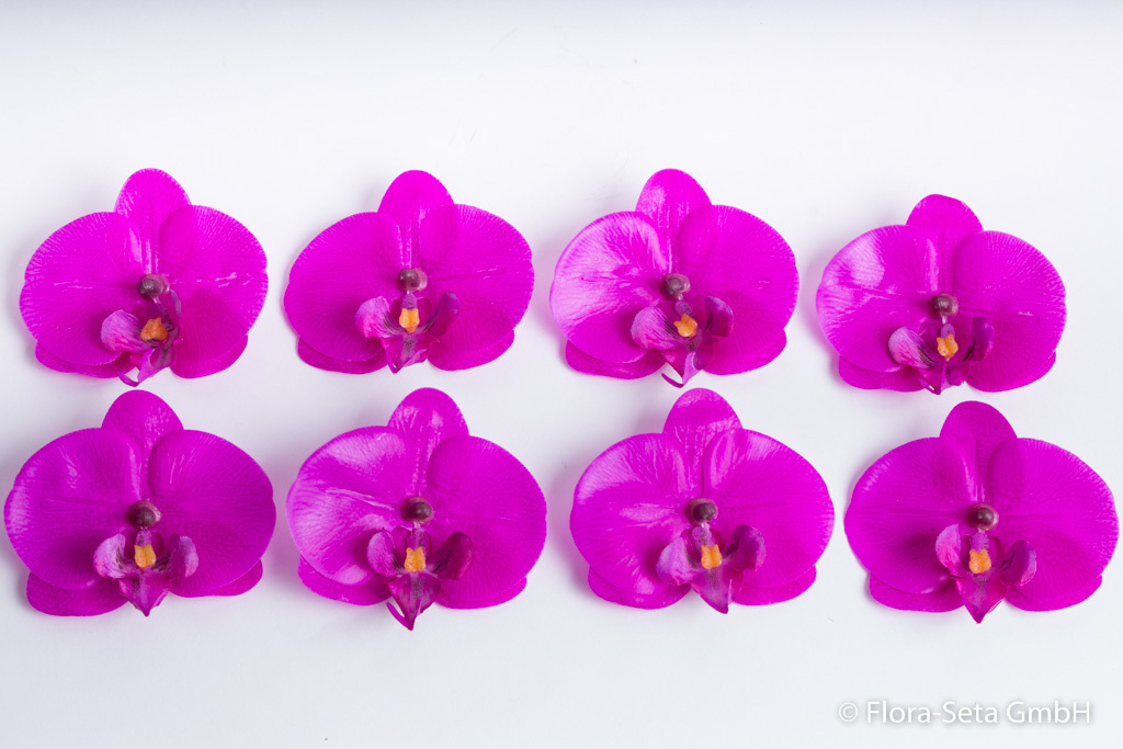 8 Orchideen-Phalaenopsis Streublüten "real touch" in Klarsichtpackung Farbe: purple