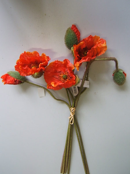 Mohnbündel Poppy mit 6 Stielen (3xBlüten,3xKnospen/sortiert) Farbe:orange