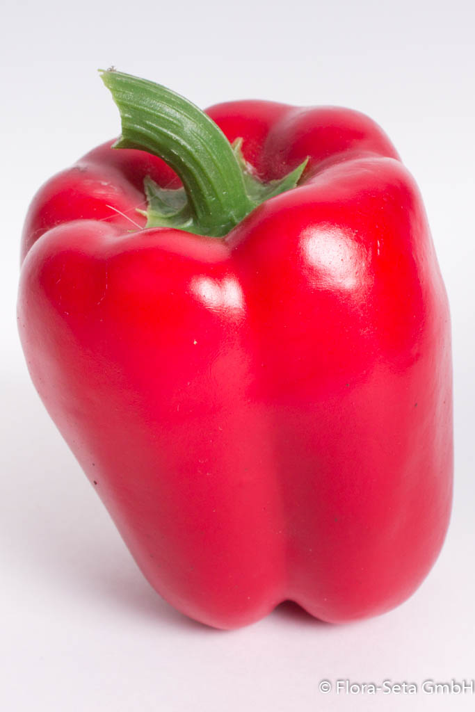 Paprika Farbe: rot, 7 x 8 cm