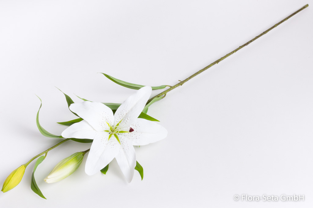 Lilie mit 1 Blüte und 2 Knospen "real touch" Farbe: creme-weiß