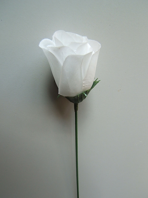 Rose halboffen (1Einheit=72 Stück) Farbe:weiß