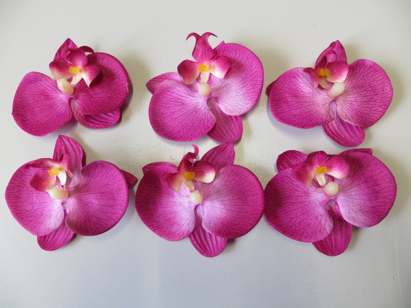 6 Orchideenblüten in Klarsichtpackung Farbe: beauty-dunkelpink