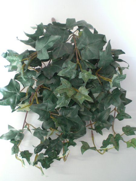 Englisch Efeu Hängebusch mit 9 Zweigen Farbe:grün