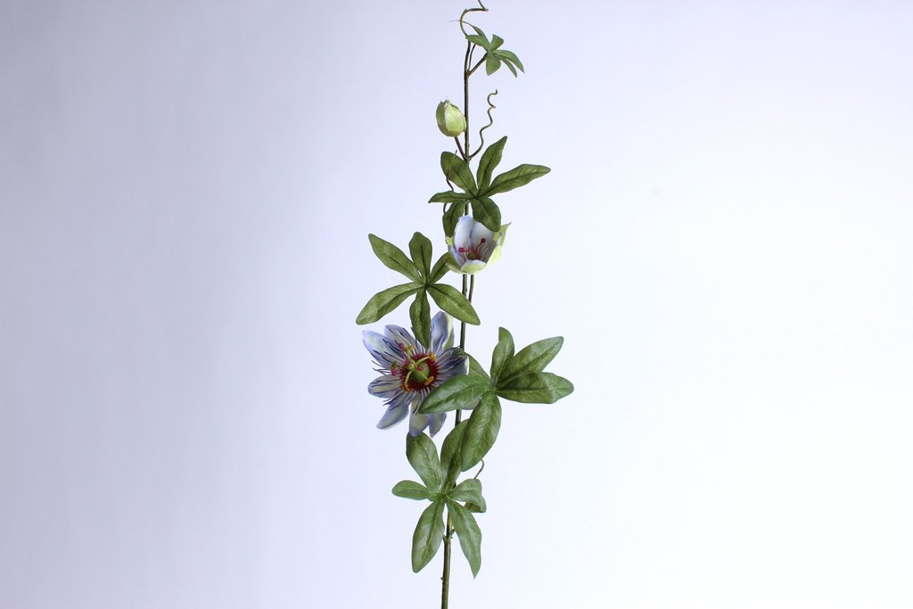 Passionsblumenzweig groß mit 2 Blüten und 1 Knospe Farbe: blau-hellviolett-hellgrün