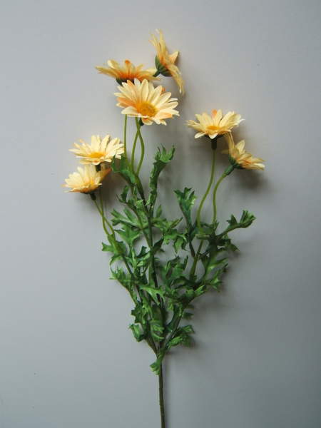 Margeritenzweig mit 7 Blüten Farbe:gelb