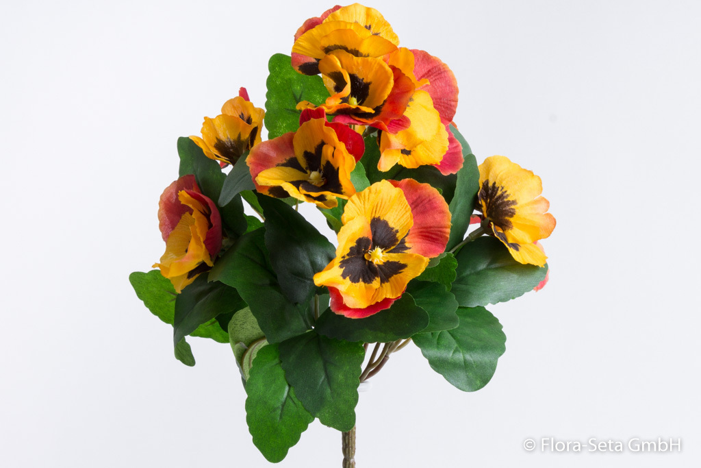 Stiefmütterchenbusch mit 9 Blüten Farbe: gelb-orange