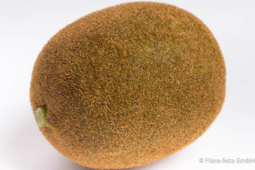 Kiwi Farbe: braun-grün