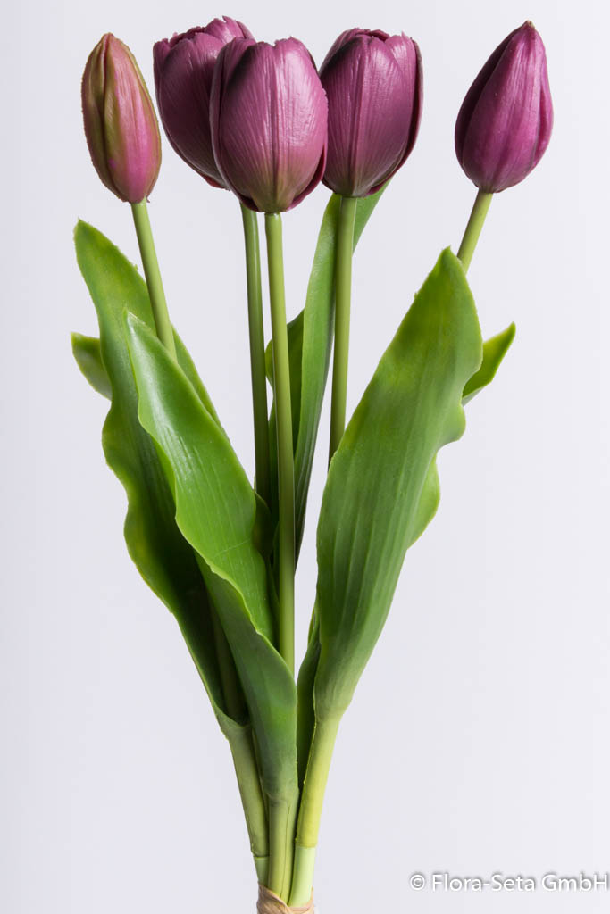 Tulpenbündel Holland mit 3 Tulpen und 2 Tulpenknospen Farbe: aubergine "real Touch"