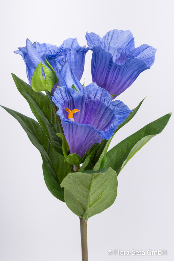 Enzianbusch mit 3 Blüten und 2 Knospen Farbe: blau