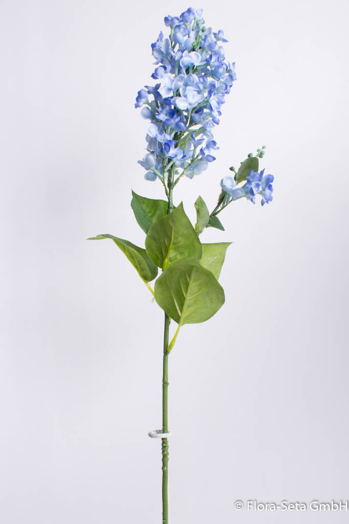 Fliederzweig mit Blättern Farbe: blau