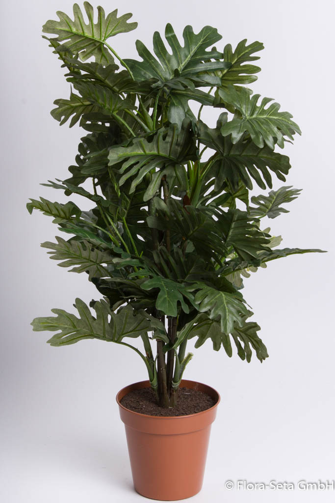 Philo-Pflanze im braunen Kunststofftopf, Höhe ca. 60 cm