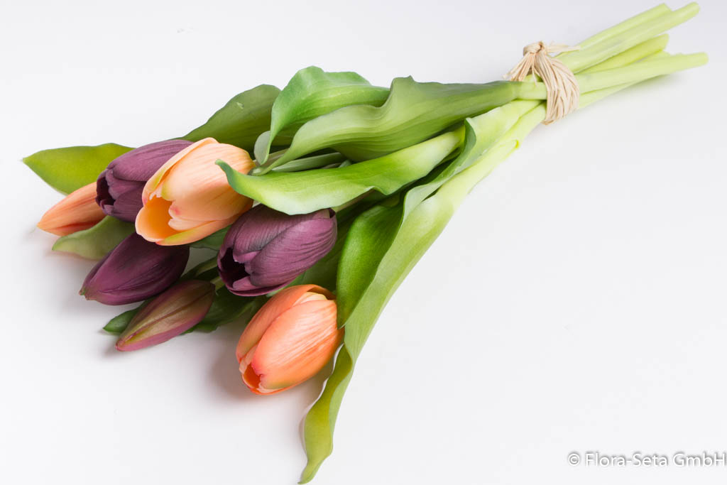 Tulpenbündel Sandy mit 4 Tulpen und 3 Tulpenknospen Farbe: lachs-aubergine