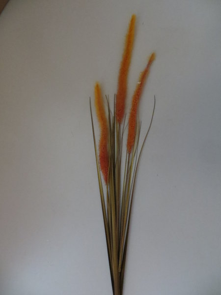 Graszweig mit Rispen Farbe:hellbraun-orange