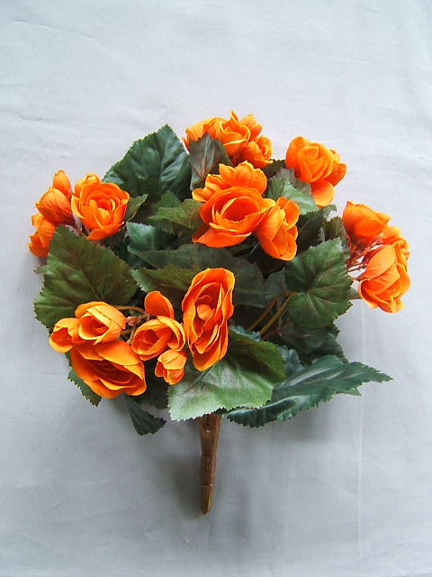 Begonienbusch mit 9 Stielen und 42 Blüten/Knospen Farbe:orange
