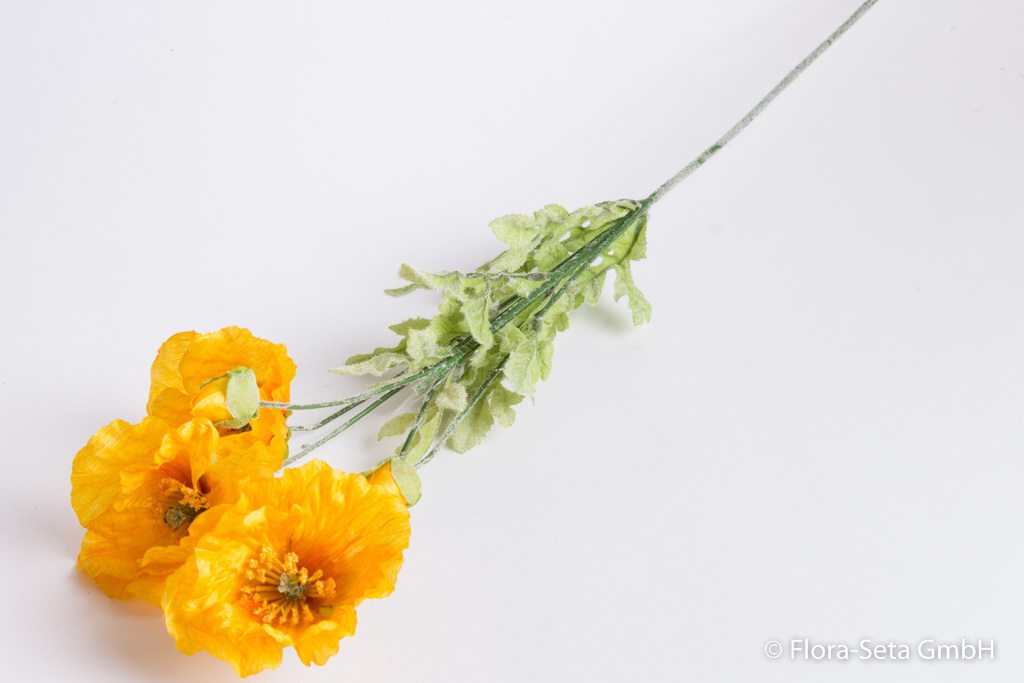 Mohnblume mit 3 Blüten und 2 Knospen Farbe: gelb