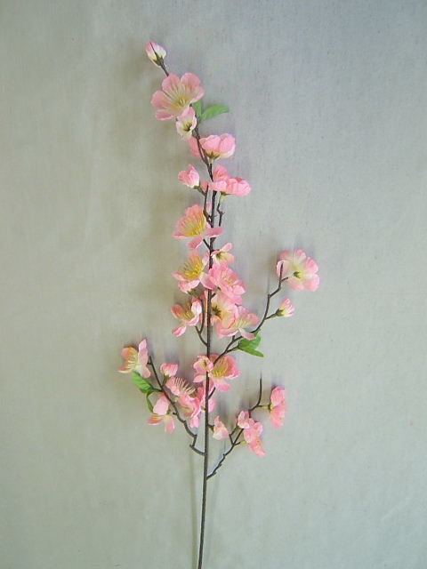 Frühlingsblütenzweig Farbe:pink-rosa
