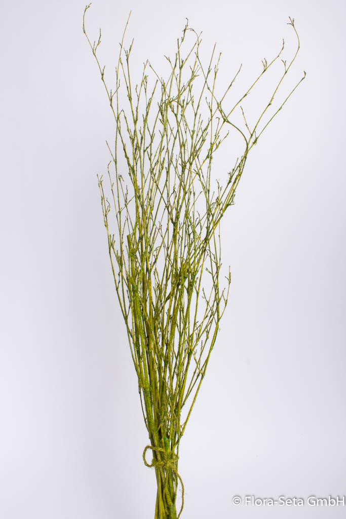 Bambuszweigbündel, Farbe grün-beflockt