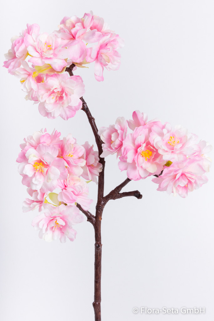 Kirschblütenpick Farbe: creme-pink
