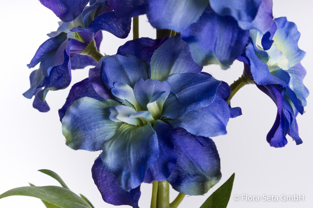 Delphiniumzweig groß Farbe: blau-hellblau