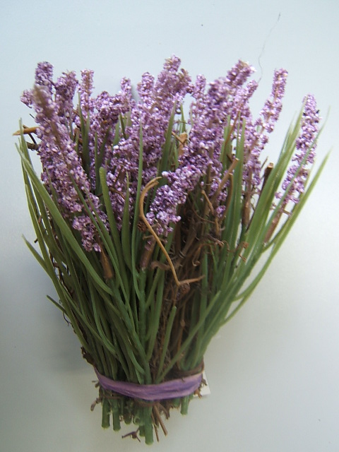 Lavendel Toskana selbststehend mit Reisig und Gräsern