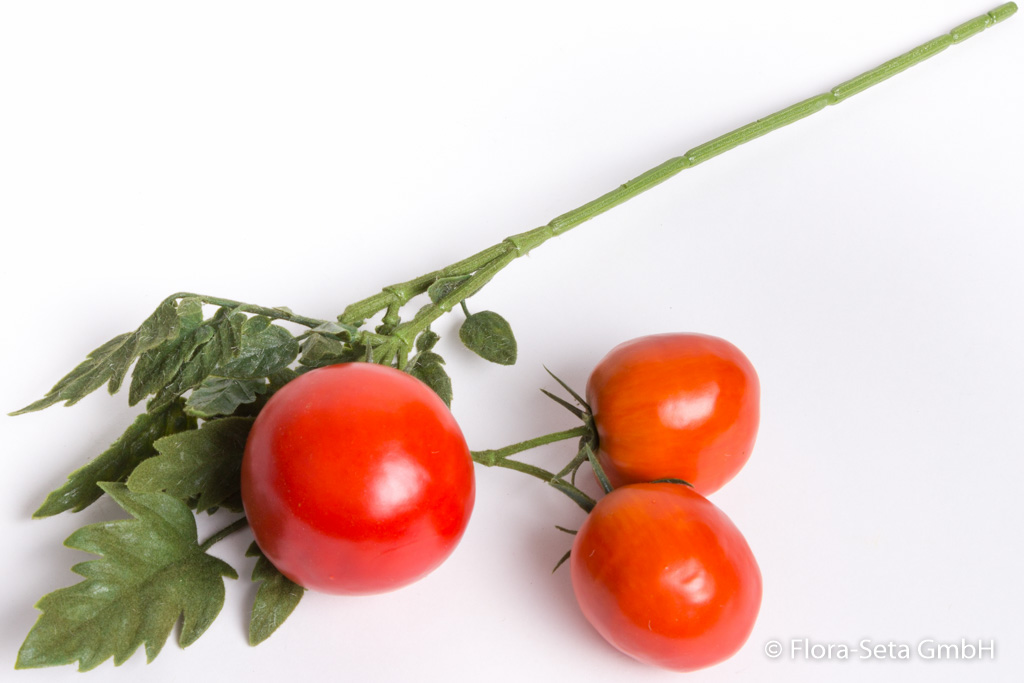 Tomatenzweig mit 3 Tomaten