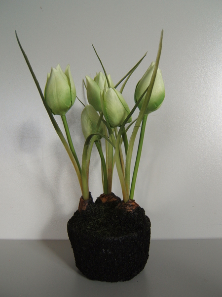 Tulpenset auf künstlichem Erdballen mit 5 Blüten und Gräsern Farbe:grün-hellgrün
