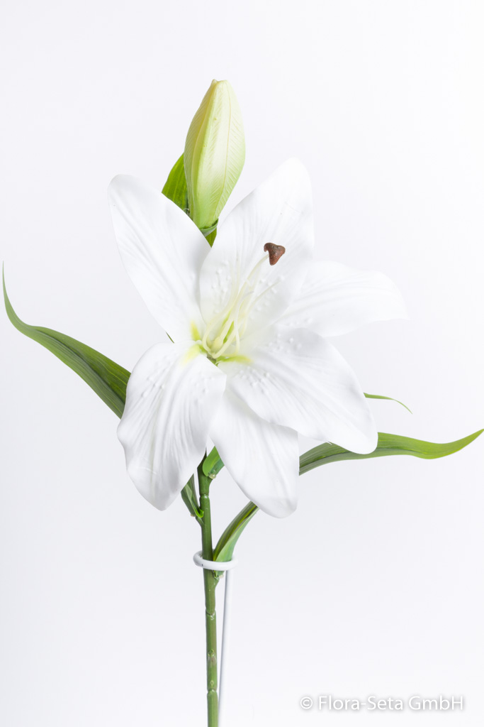 Lilie kurzstielig mit 1 Blüte und 1 Knospe, Farbe: creme-weiß "real-touch"