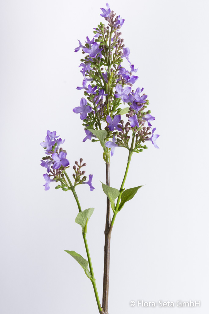Fliederzweig mit 3 Blüten und 4 Blättern Farbe: lavendel