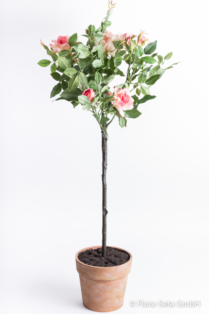 Rosenkugelbaum im terrakottafarbenen Kunststofftopf Farbe: pink