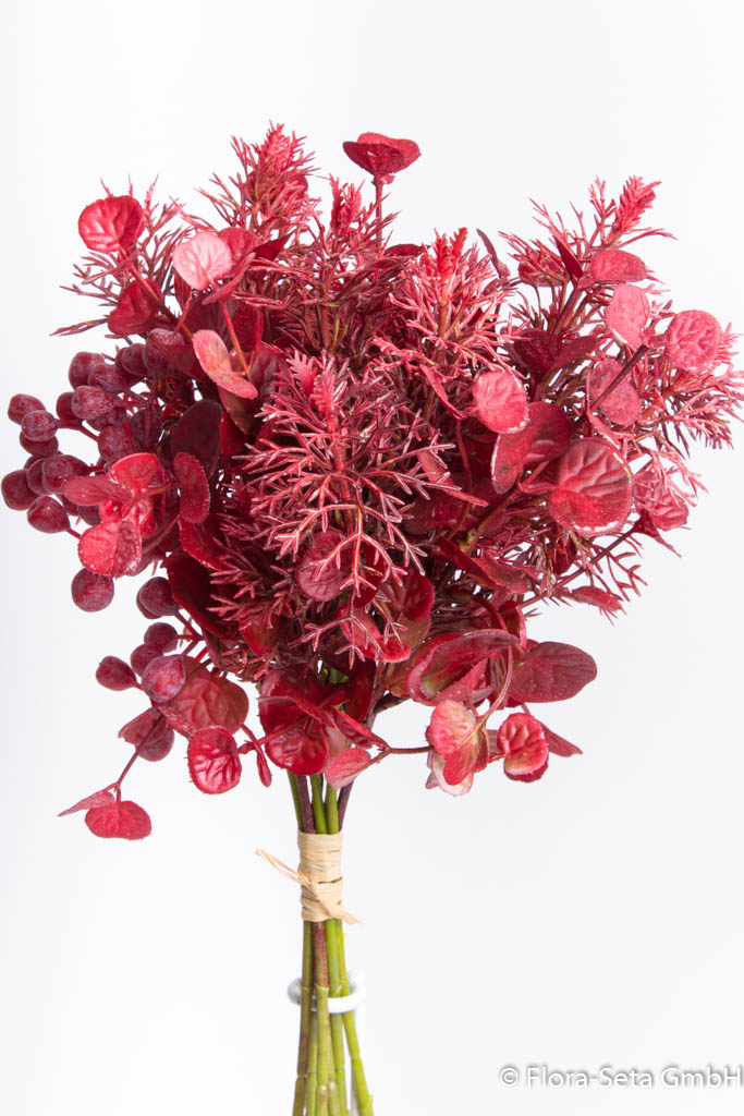 Blätter-Asparagus-Beeren-Bündel, Farbe: rot