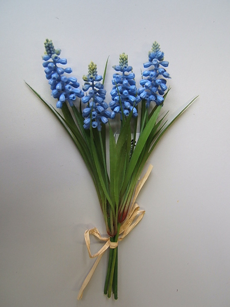 Muscaribündel mit 4 Blüten Farbe:Blau