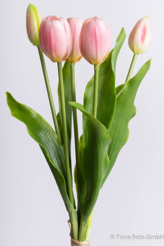 Tulpenbündel Holland mit 3 Tulpen und 2 Tulpenknospen Farbe: rosa "real Touch"