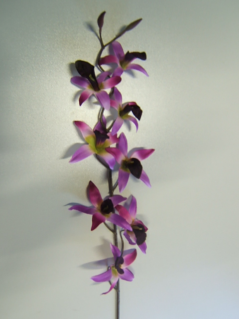 Orchideenzweig mit 8 Blüten Farbe:purple mit dunkellila Mitte