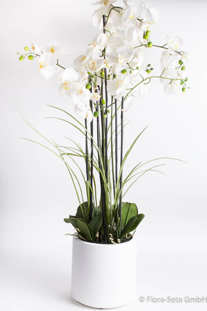 Orchidee Phalaenopsis mit Gräsern im weißen Dekotopf, Höhe ca. 120 cm