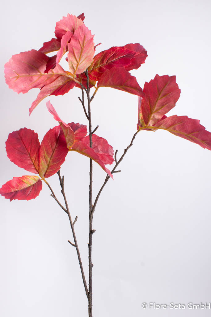 Walnuß-Blätterzweig Farbe: rot
