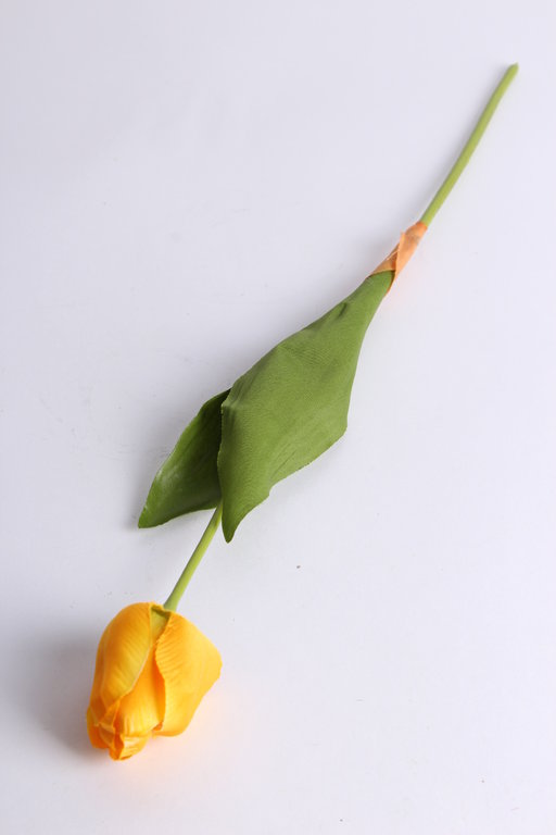 Tulpe mit 2 Blättern Farbe: gelb