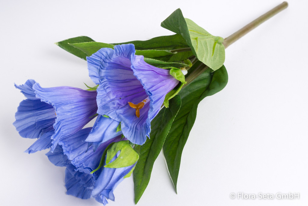 Enzianbusch mit 3 Blüten und 2 Knospen Farbe: blau