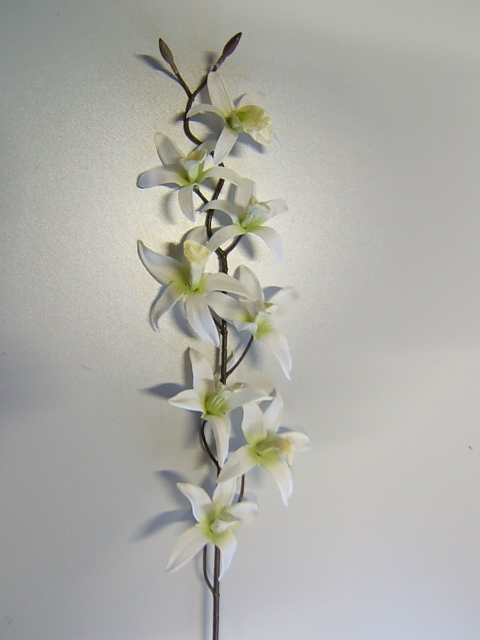 Orchideenzweig mit 8 Blüten Farbe:weiß mit hellgrüner Mitte
