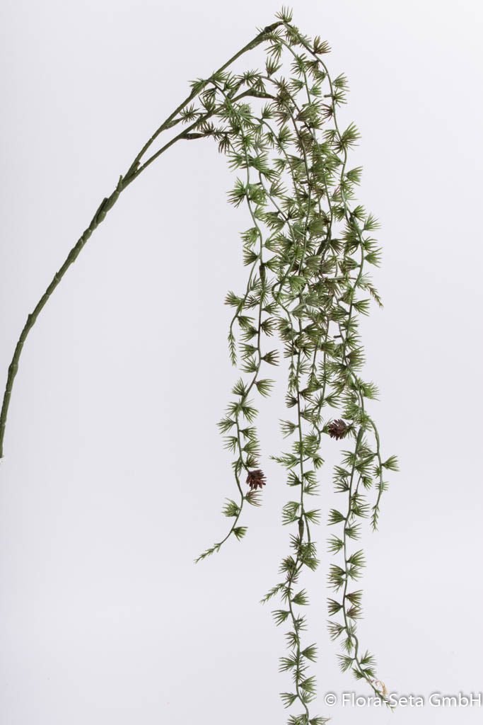 Lärchenhängezweig mit Zapfen, Länge ca. 120 cm