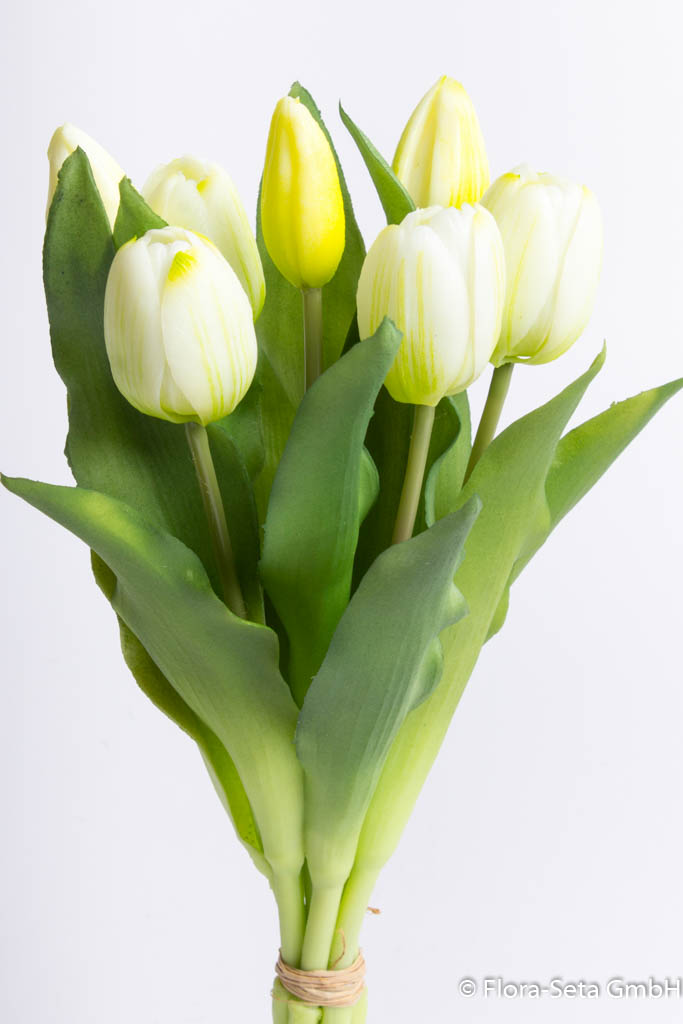 Tulpenbündel Sally mit 4 Tulpen und 3 Tulpenknospen Farbe: creme-weiß "real Touch"