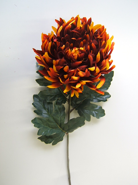 Chrysantheme Gigant mit 3 Blättern Farbe:rost-dunkelorange-gelb Mix