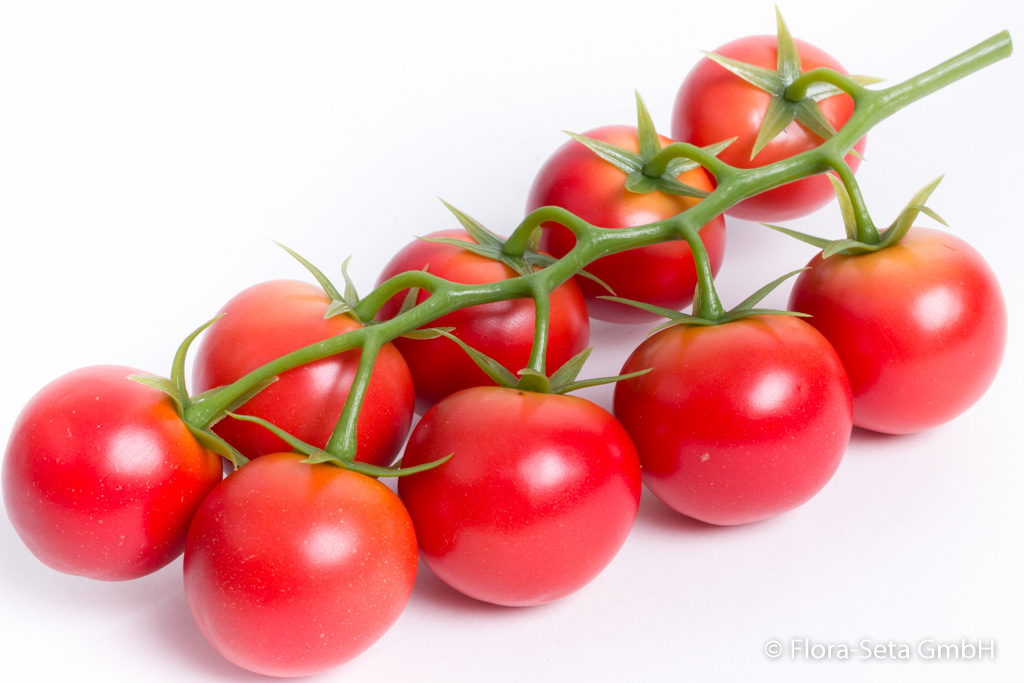 Tomatenrispe mit 9 Tomaten