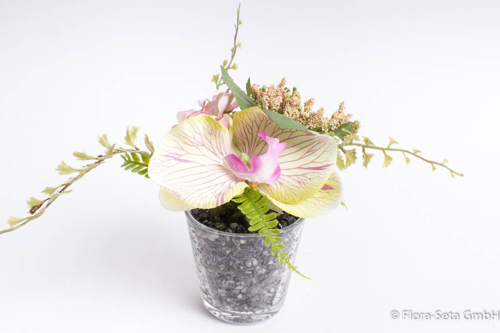 Orchideen-Arrangement mit Beiwerk im Glas Farbe: creme-pink