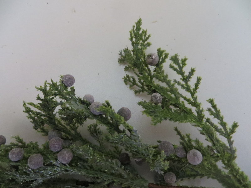 Juniperuszweig mit Beeren (1Einheit=6Stück) Farbe:grün