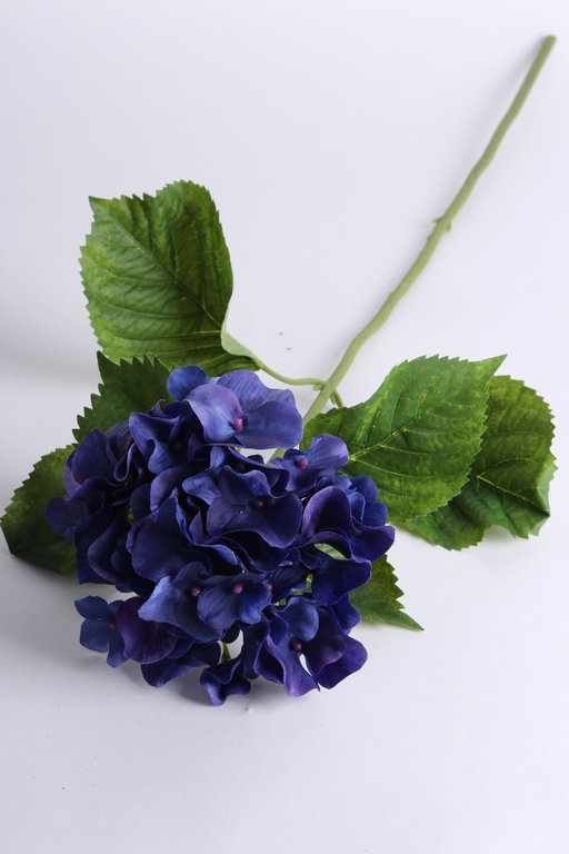 Hortensie mit 6 Blättern Farbe: dunkelblau