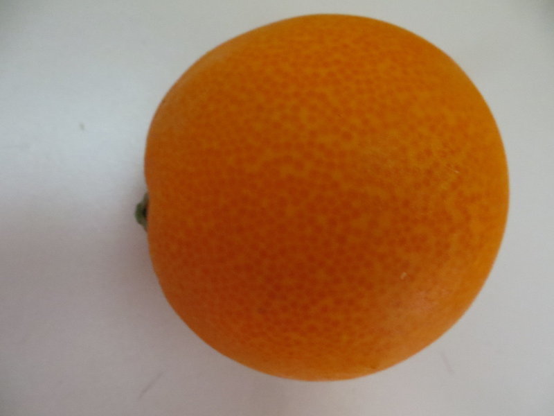Orange (1Einheit=6Stück)