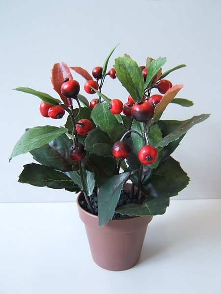 Beerenbusch in braunem Kunststofftopf mit 5 Stielen Farbe:rot-schwarz