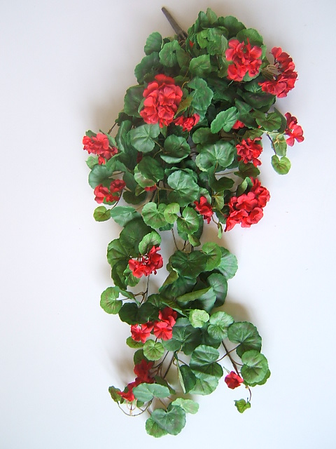 Geranienhängebusch groß mit 9 Zweigen Farbe:rot