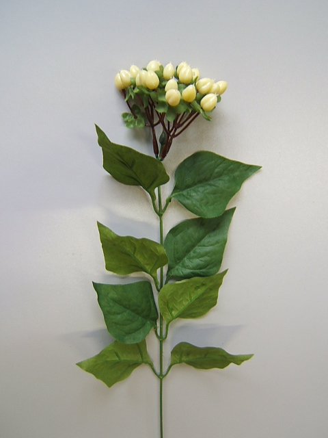Hypericumzweig mit 8 Blättern Farbe:hellgelb-creme